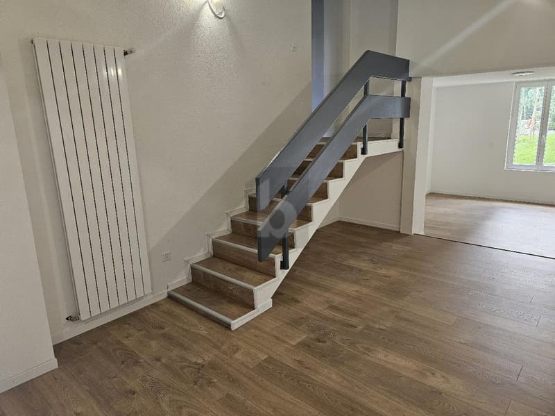 SPACIEUSE ET MODERNE (2)
