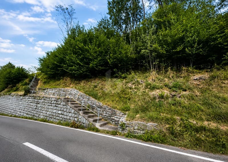 IN POSIZIONE SOLEGGIATA (1)