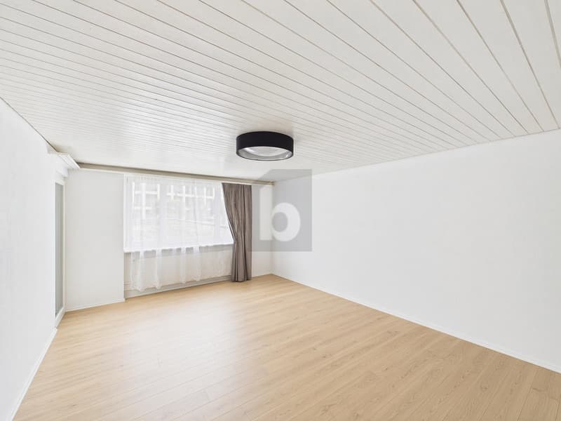 ZENTRAL, MIT GROSSEM BALKON (2)