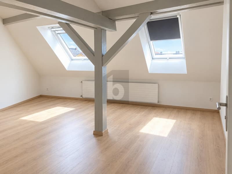 HABITATION AVEC ESPACE DE VIE LUMINEUX (5)
