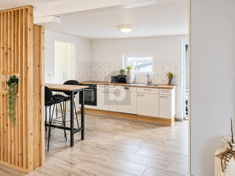 HABITATION RÉNOVÉE AU CHARME RURAL (5)