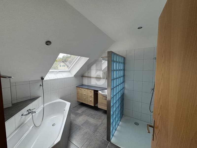 GROSSZÜGIG WOHNEN MIT 150 M² TERRASSE (4)