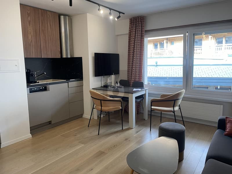 CENTRAL, MODERNE AVEC BEAUCOUP DE CHARME (1)