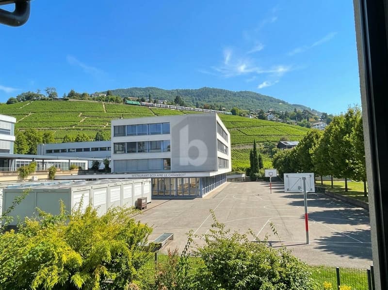 MAGNIFIQUE AVEC JARDIN PRIVATIF ET VUE (2)