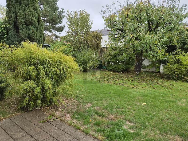 FRISCH RENOVIERT MIT GARTEN UND VIEL PLATZ (2)