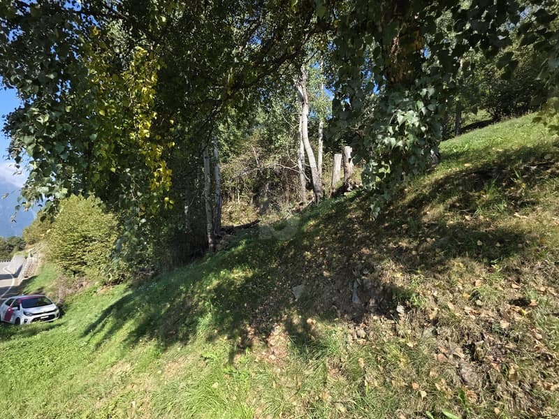 IN POSIZIONE SOLEGGIATA (5)