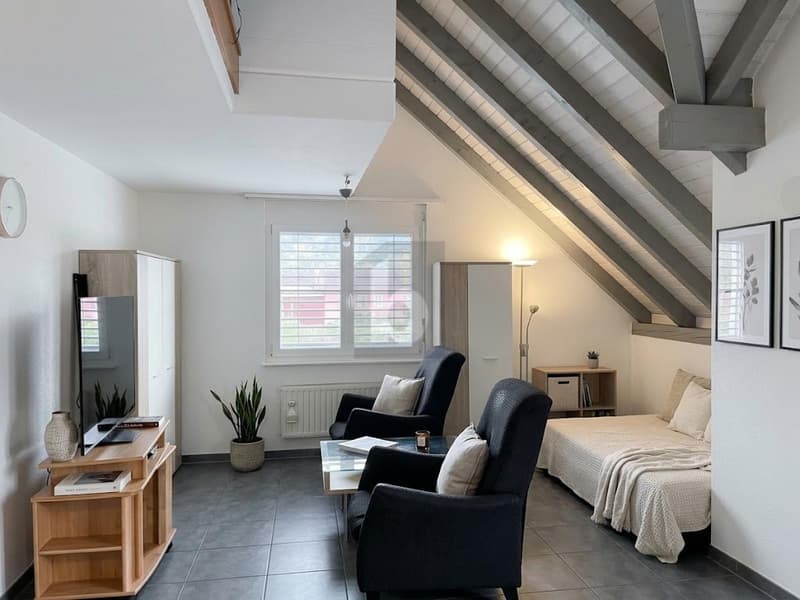 GRAND DUPLEX AU CALME (2)