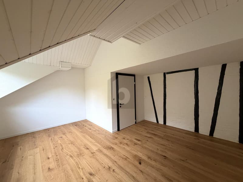 MODERN UND ZENTRAL, MIT WEITBLICK (1)