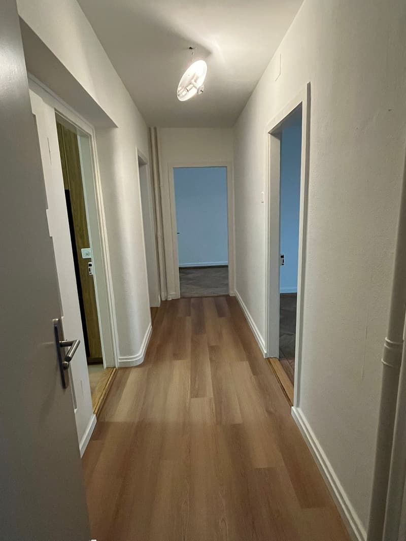 3 Zimmer Wohnung am Manesseplatz – zentral und praktisch (2)