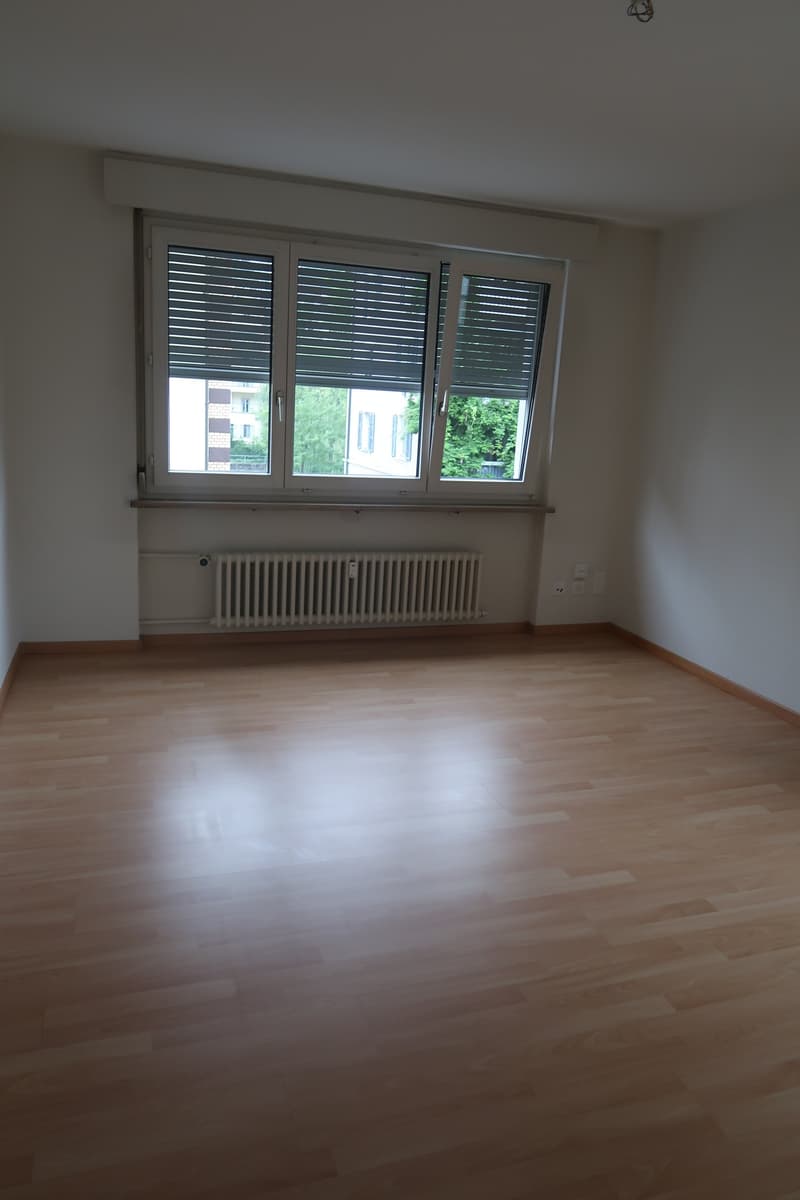 Helle 3-Zimmer-Wohnung mit Balkon in Luzern – sofort verfügbar (5)