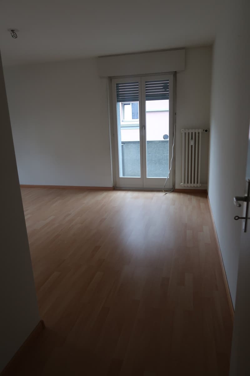 Helle 3-Zimmer-Wohnung mit Balkon in Luzern – sofort verfügbar (4)