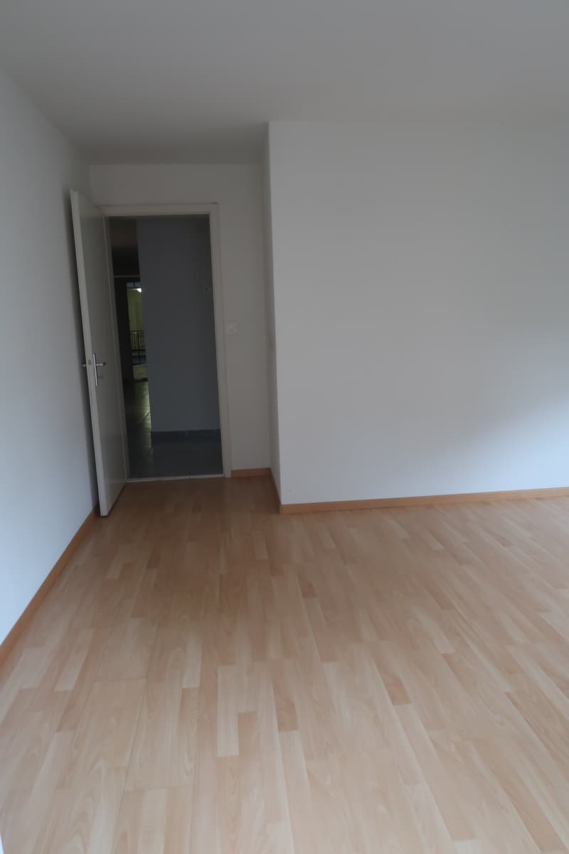 Helle 3-Zimmer-Wohnung mit Balkon in Luzern – sofort verfügbar (3)