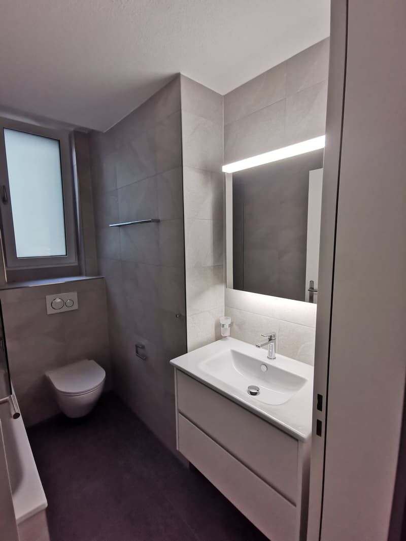 Frisch renovierte 3-Zimmer-Wohnung mit Balkon an der Seebahnstrasse, Zürich (8)