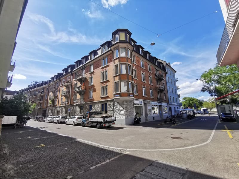 Frisch renovierte 3-Zimmer-Wohnung mit Balkon an der Seebahnstrasse, Zürich (1)