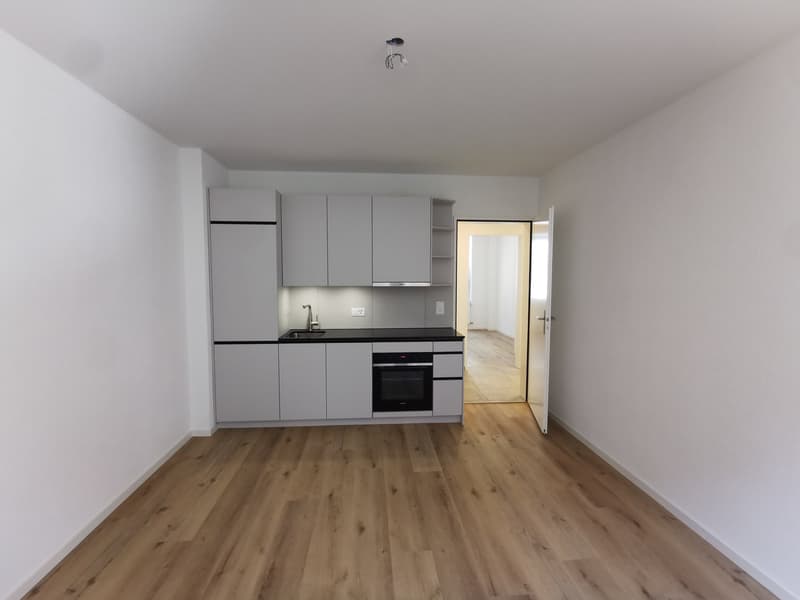 Frisch renovierte 3-Zimmer-Wohnung mit Balkon an der Seebahnstrasse, Zürich (13)