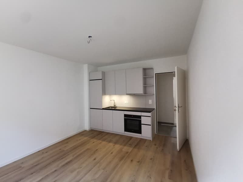 Frisch renovierte 3-Zimmer-Wohnung mit Balkon an der Seebahnstrasse, Zürich (5)