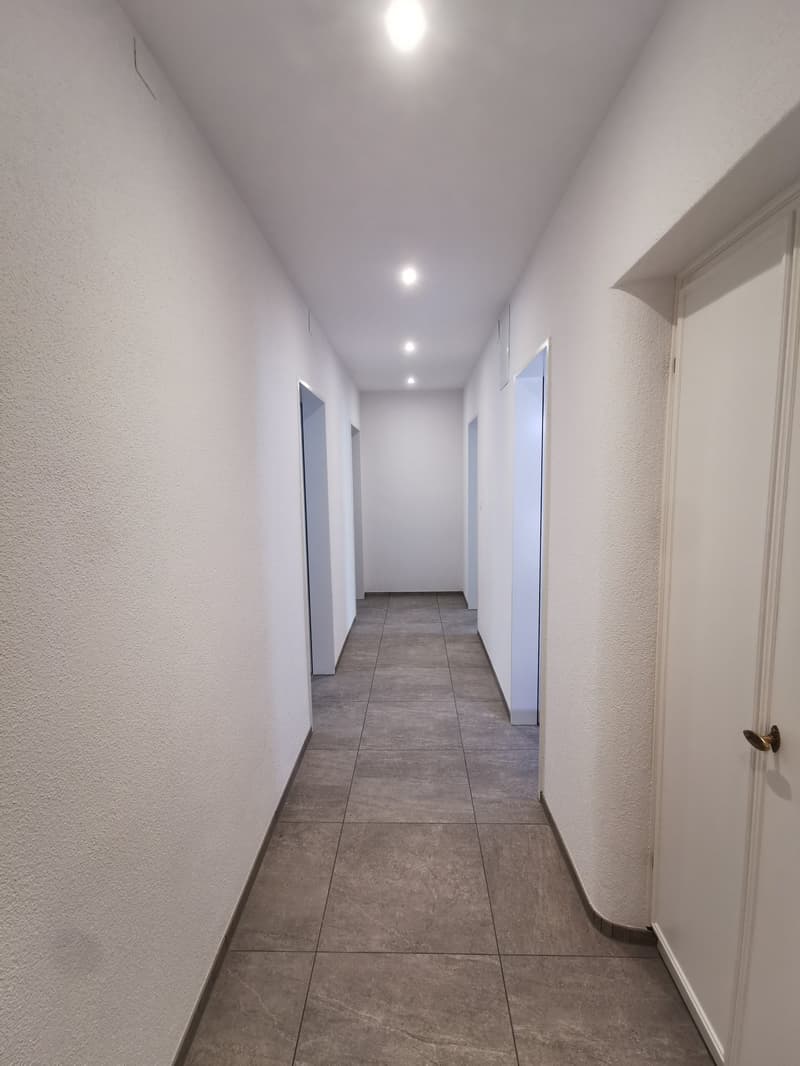 Frisch renovierte 3-Zimmer-Wohnung nahe Bahnhof Wiedikon (ab sofort) (12)