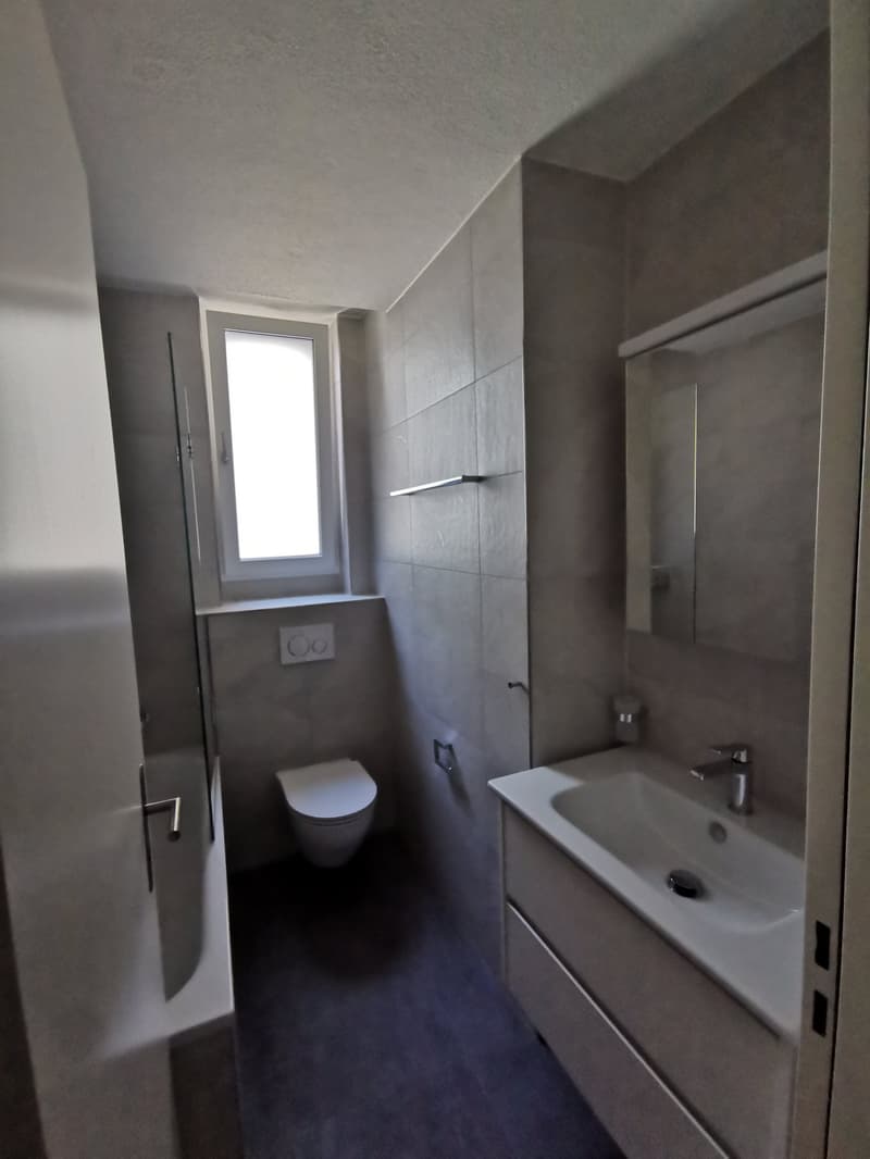 Frisch renovierte 3-Zimmer-Wohnung nahe Bahnhof Wiedikon (ab sofort) (3)