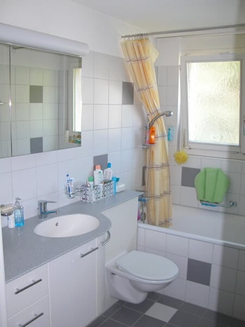 Appartement mansardé calme et beau de 4 pièces (3)