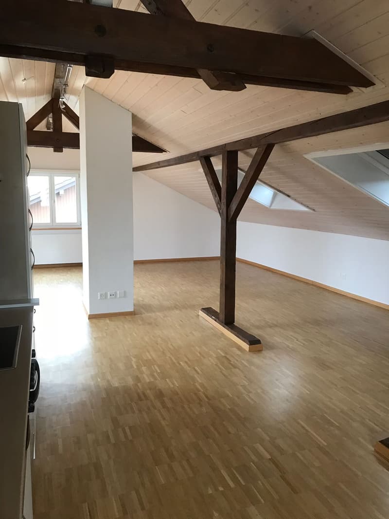 Appartamento loft moderno (2)