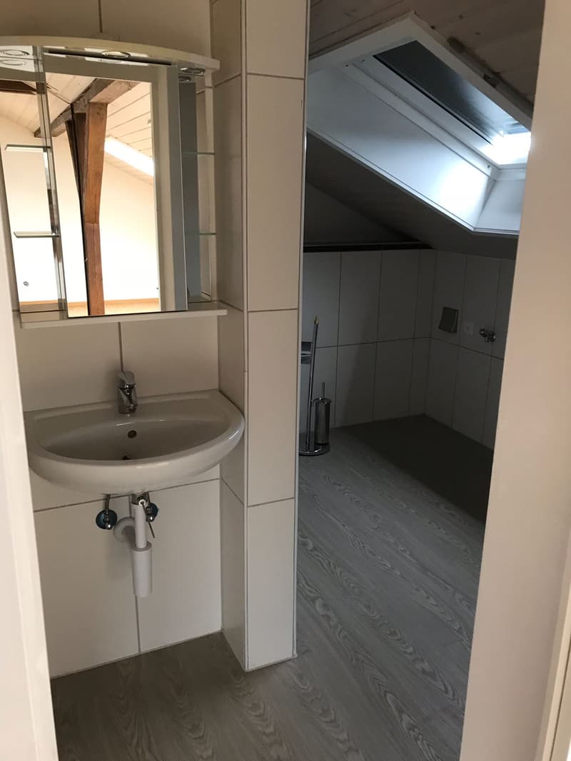 Appartamento loft moderno (5)