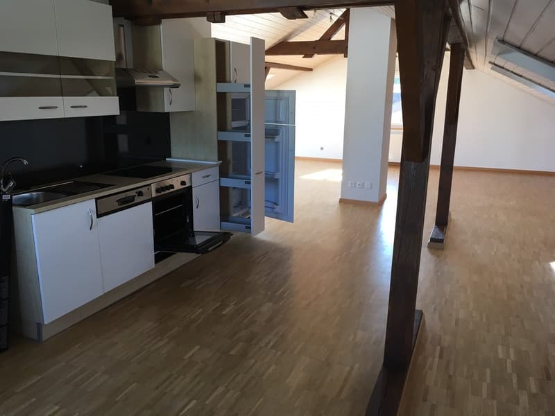Appartamento loft moderno (1)