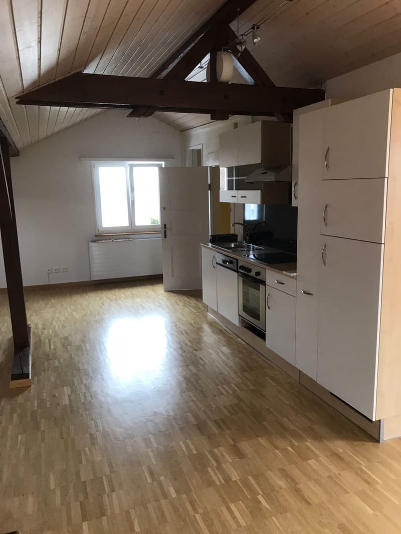 Appartamento loft moderno (3)