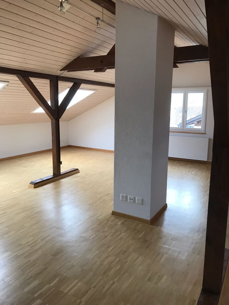 Appartamento loft moderno (4)