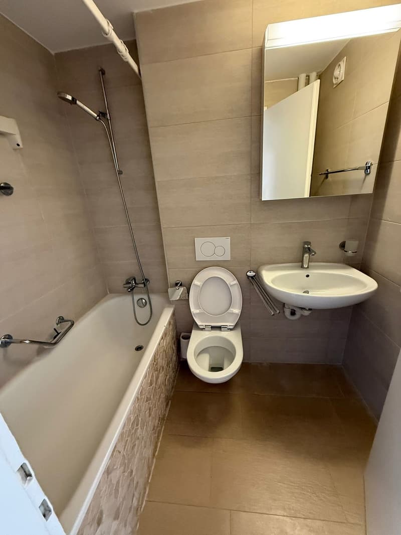 Appartamento di 3 1/2 locali situato in zona tranquilla con balcone (6)