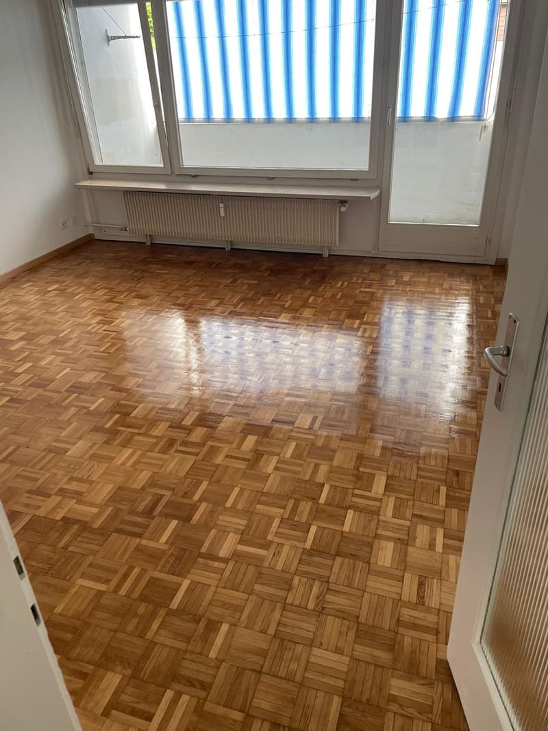 Appartamento di 3 1/2 locali situato in zona tranquilla con balcone (3)