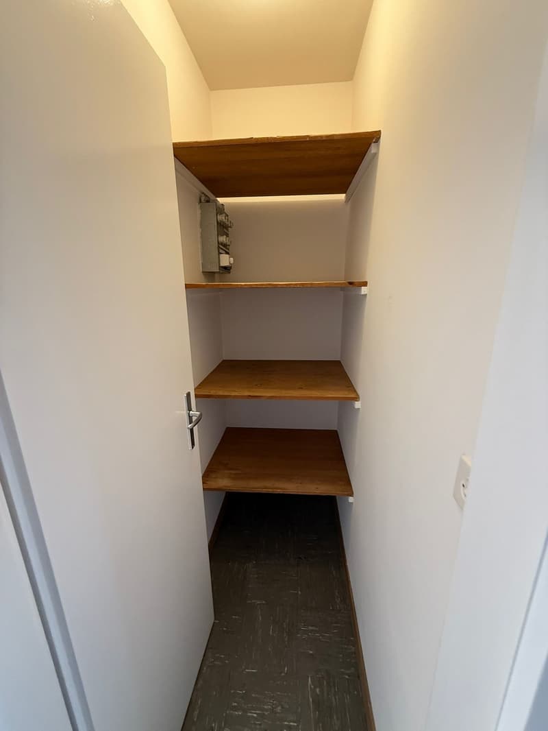 Appartamento di 3 1/2 locali situato in zona tranquilla con balcone (7)