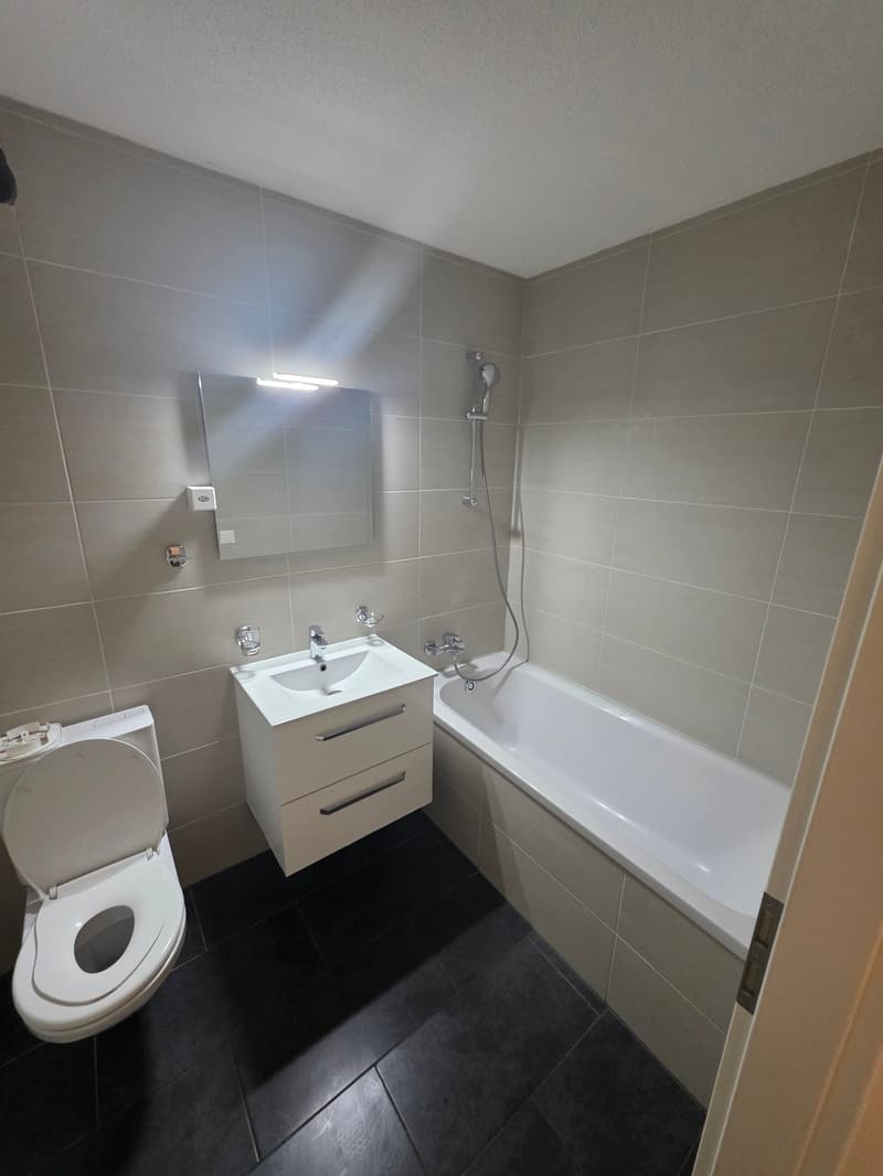 Moderne, helle 3.5 Zi. Wohnung zu vermieten! (3)