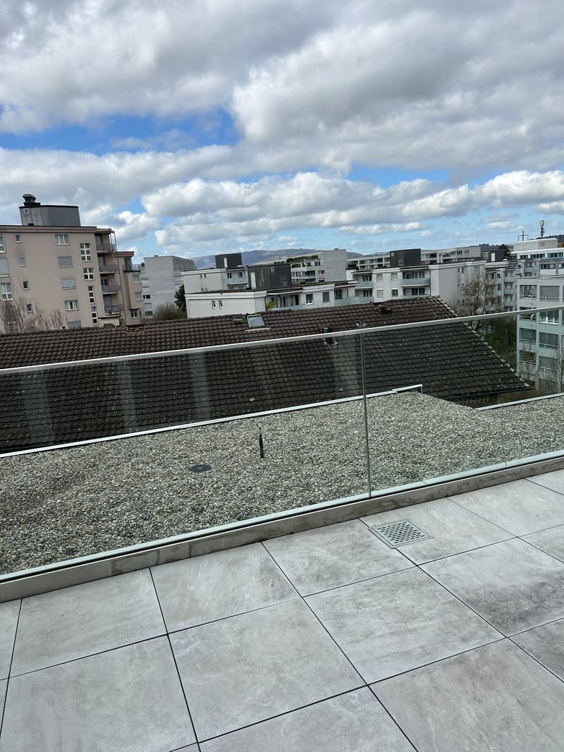 Traumhafte Attikawohnung mit eigenem Waschturm zum vermieten! (12)