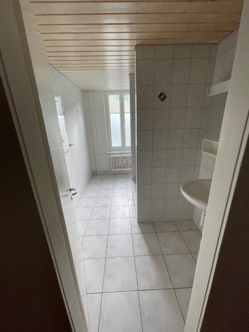 Geräumige 4.5 Zi. Wohnung zu vermieten! (3)