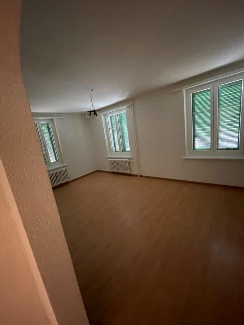 Geräumige 4.5 Zi. Wohnung zu vermieten! (8)