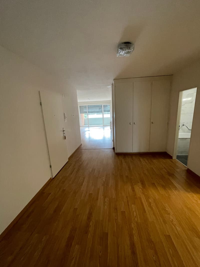 Sanierte und geräumige 3.5 Zi. Wohnung zu vermieten! (4)