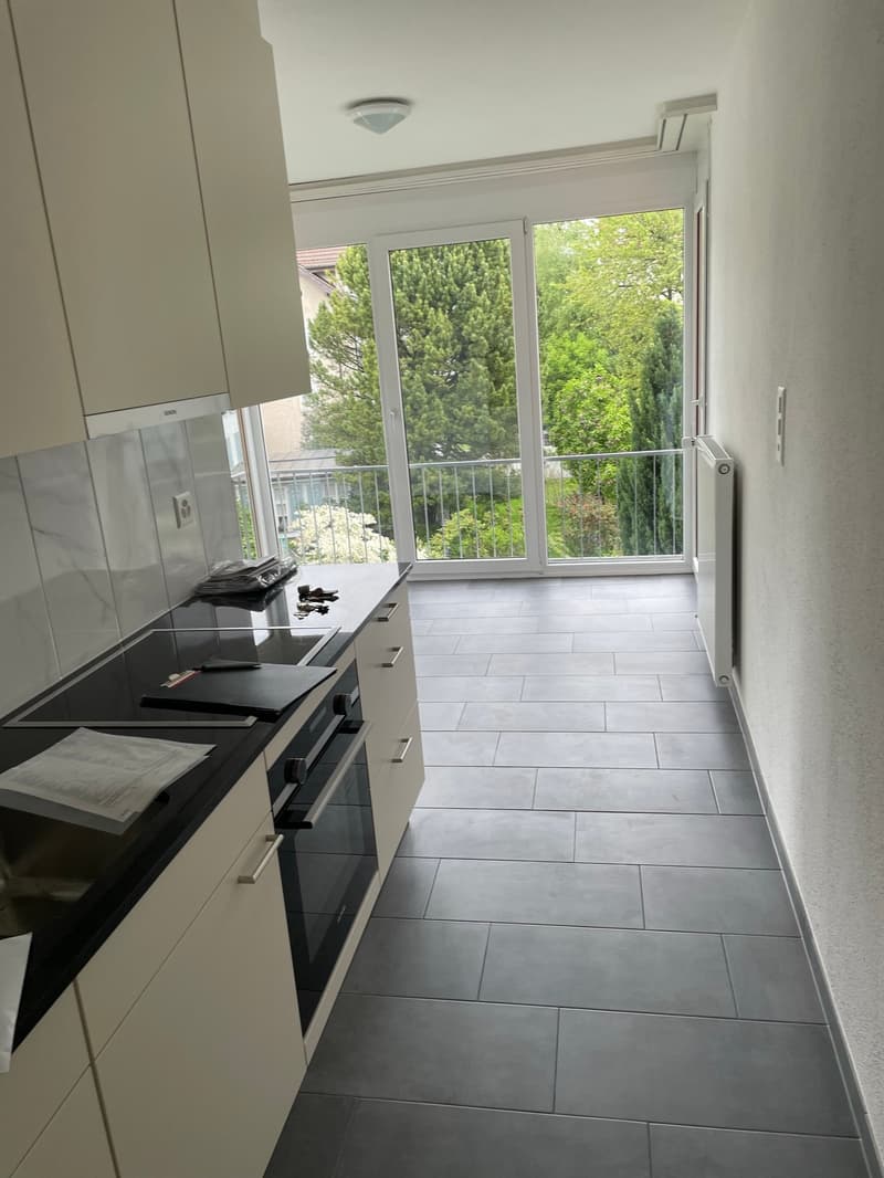 Sanierte und geräumige 3.5 Zi. Wohnung zu vermieten! (3)