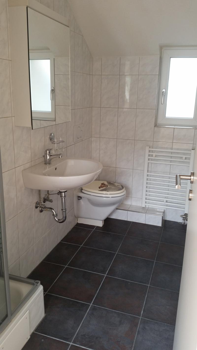 Traumhafte Aussicht auf den Bodensee! 2-Zi. Wohnung zu vermieten (8)
