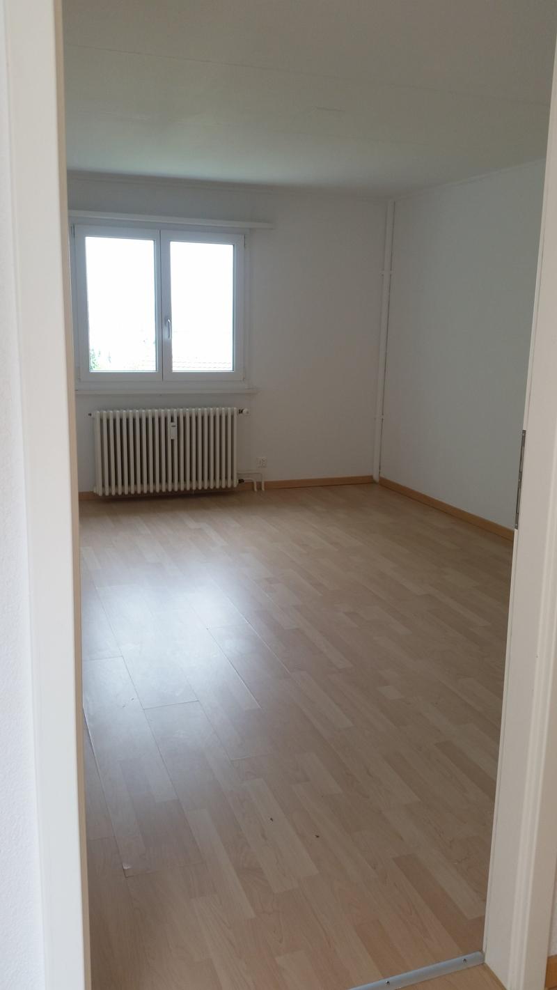 Traumhafte Aussicht auf den Bodensee! 2-Zi. Wohnung zu vermieten (5)