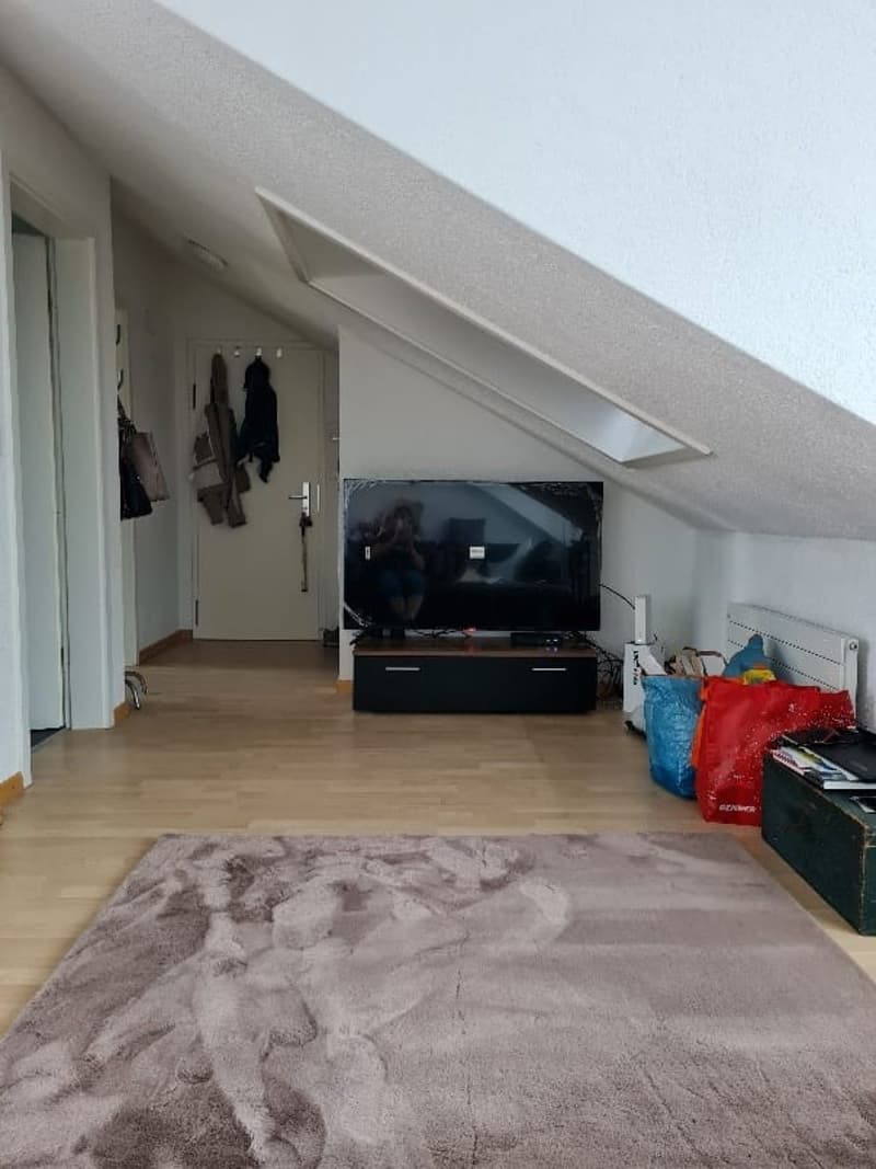 Traumhafte Aussicht auf den Bodensee! 2-Zi. Wohnung zu vermieten (4)