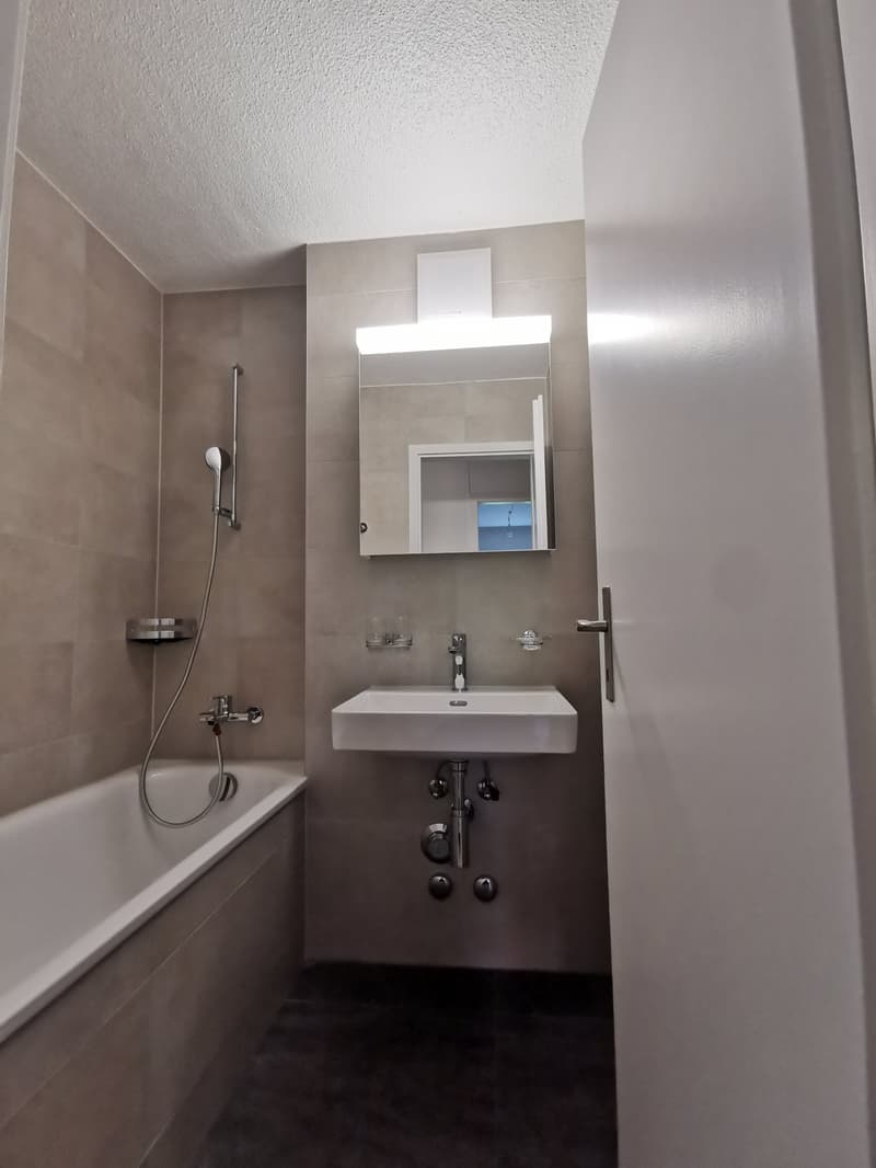 Renovierte 2.5 Zi. Wohnung im Grünen zu vermieten! (4)