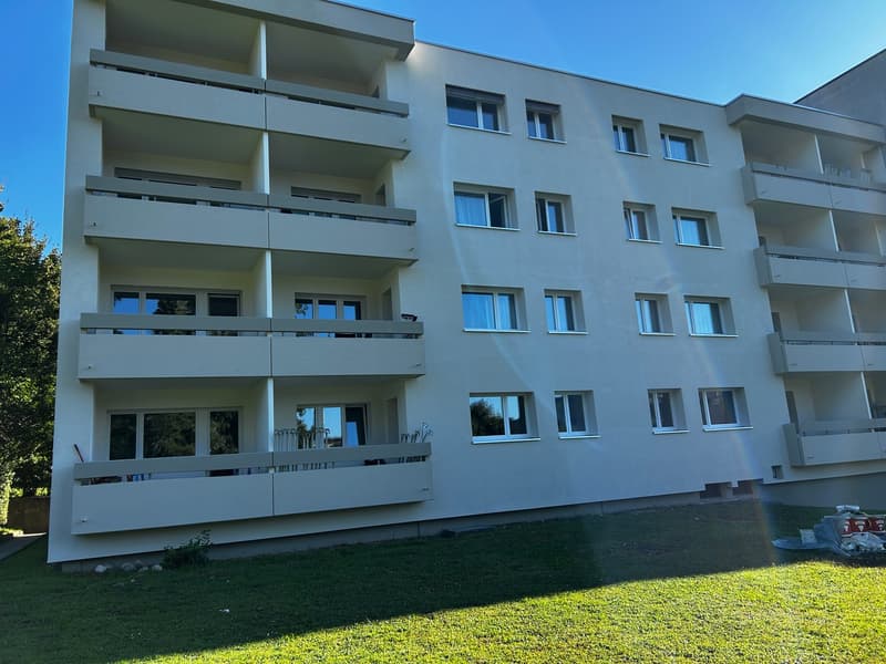 Renovierte 2.5 Zi. Wohnung im Grünen zu vermieten! (2)