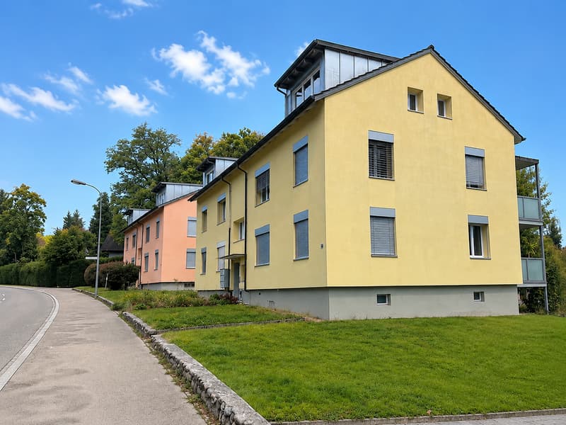 Attraktive und geräumige 3 Zi. Wohnung mit grossem Balkon, beim Untersee!! (1)