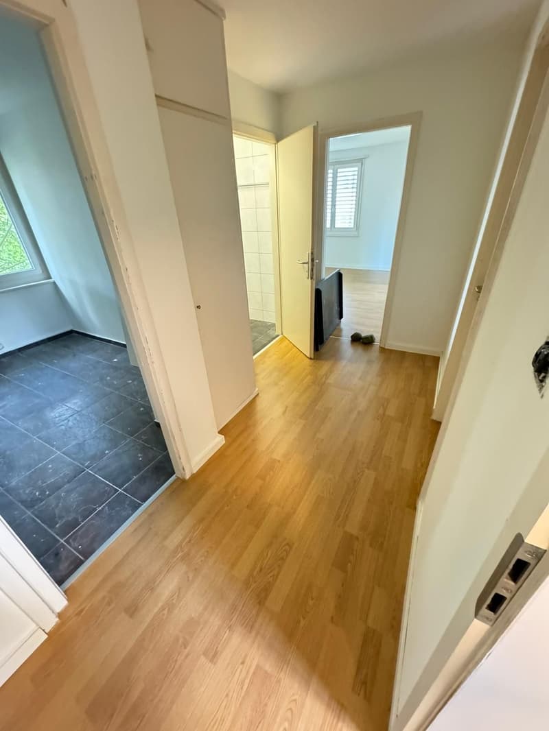 Attraktive und geräumige 3 Zi. Wohnung mit grossem Balkon, beim Untersee!! (4)