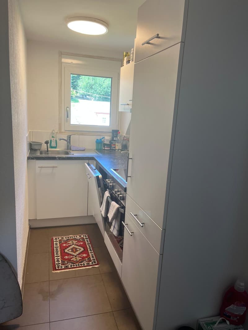 Gemütliche 3 1/2 Zi.-Wohnung neben dem Bach (2)