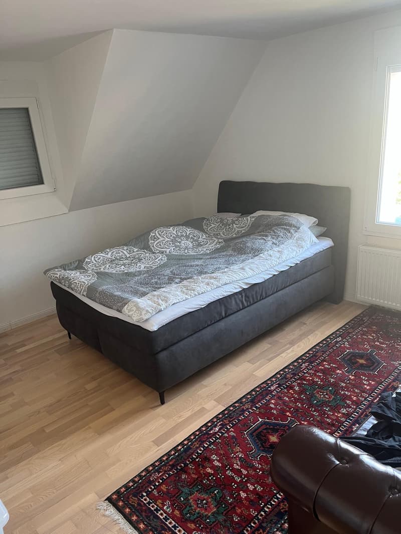 Gemütliche 3 1/2 Zi.-Wohnung neben dem Bach (6)