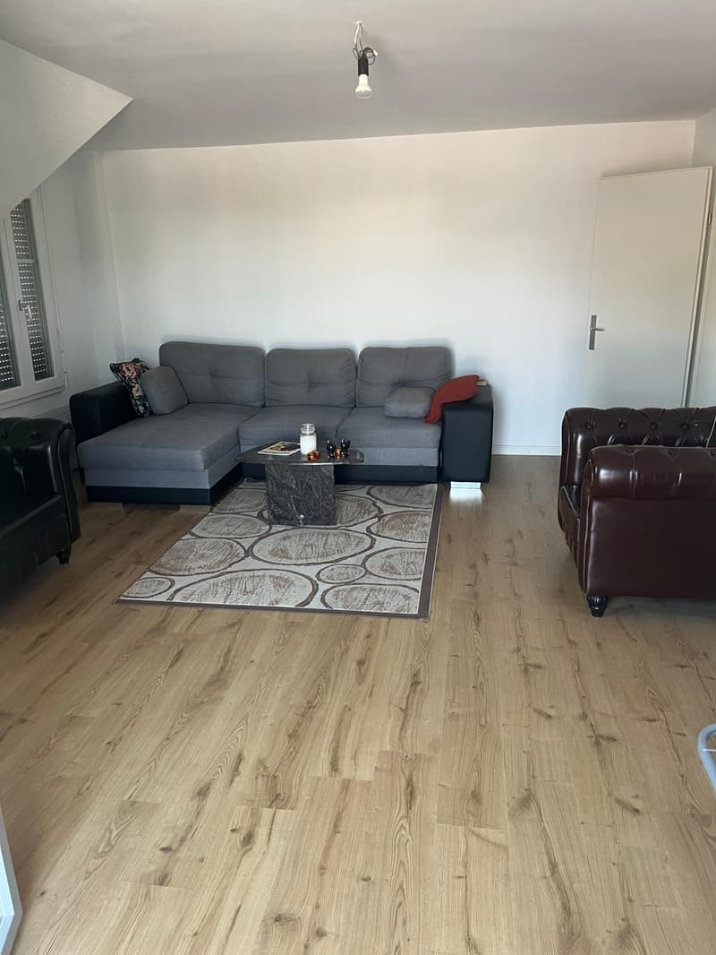 Gemütliche 3 1/2 Zi.-Wohnung neben dem Bach (5)