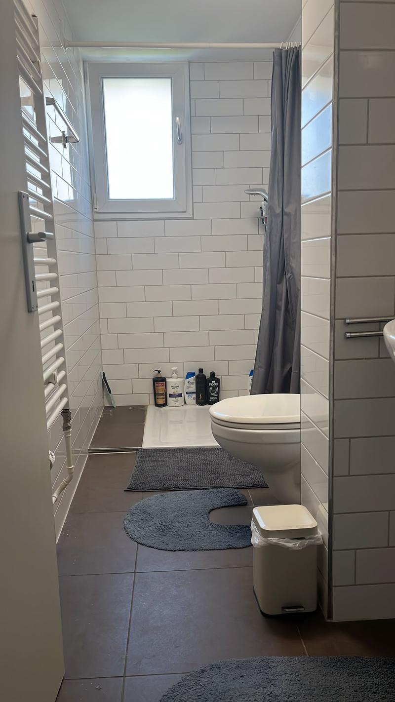 Gemütliche 3 1/2 Zi.-Wohnung neben dem Bach (3)