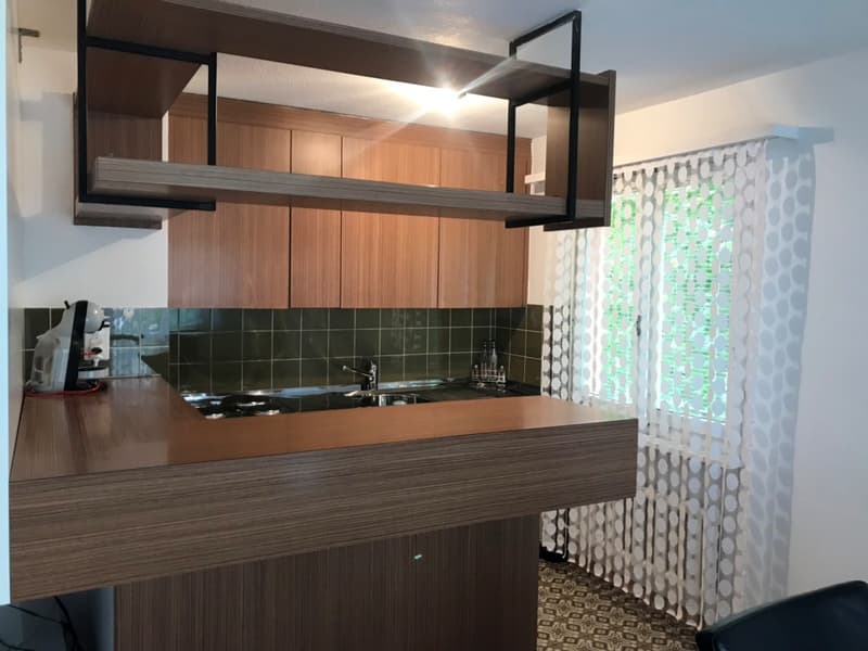 schöne und grosszügige 4 1/5 Zimmer-Wohnung (2)