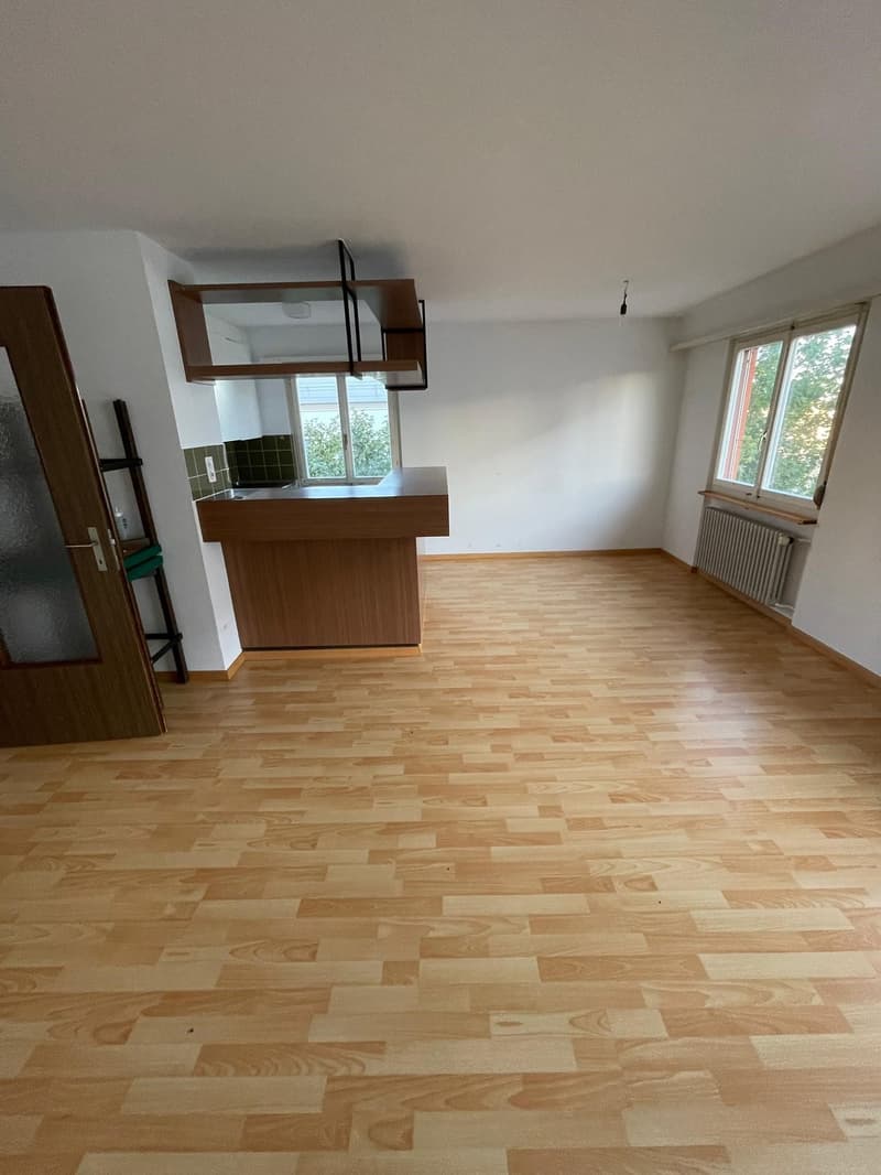 schöne und grosszügige 4 1/5 Zimmer-Wohnung (5)